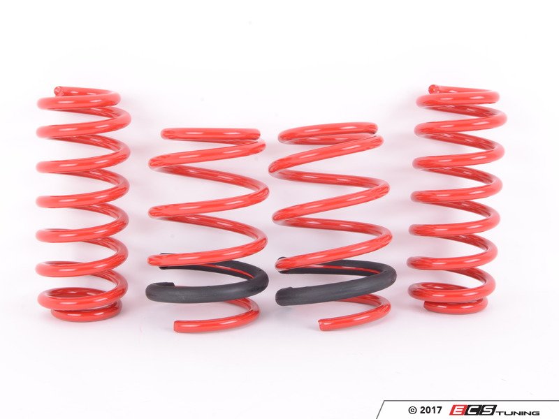 APR SUS00004 APR RollControl Lowering Springs