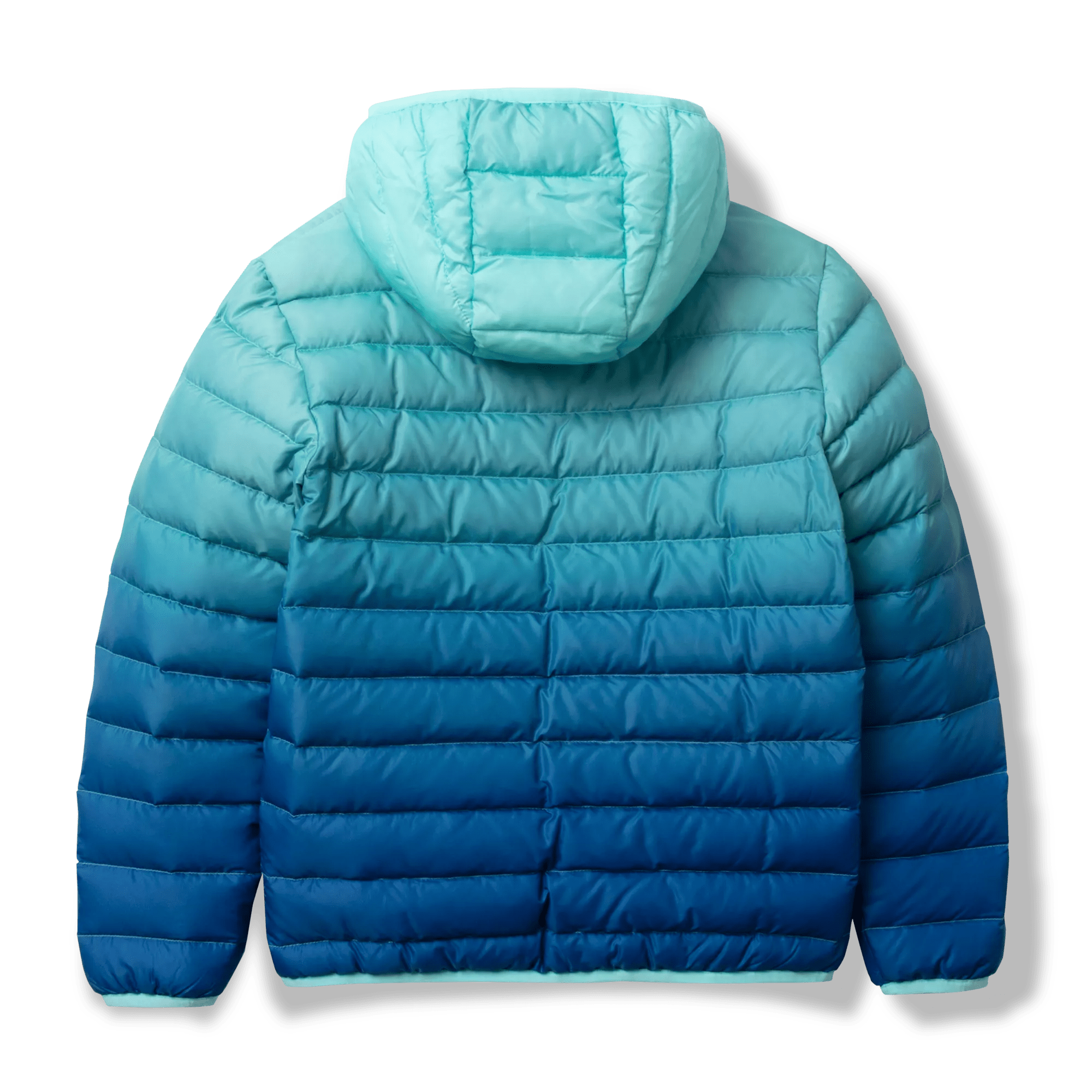 Eddie Bauer CirrusLite Hooded Down Jacket Hamilton Place