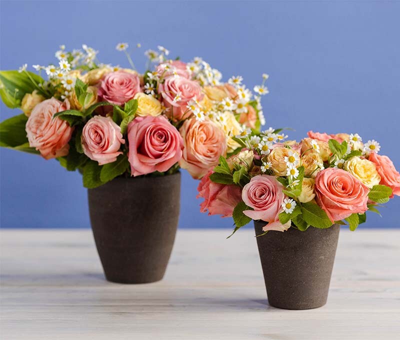 Subscription Gifts Winston Flowers