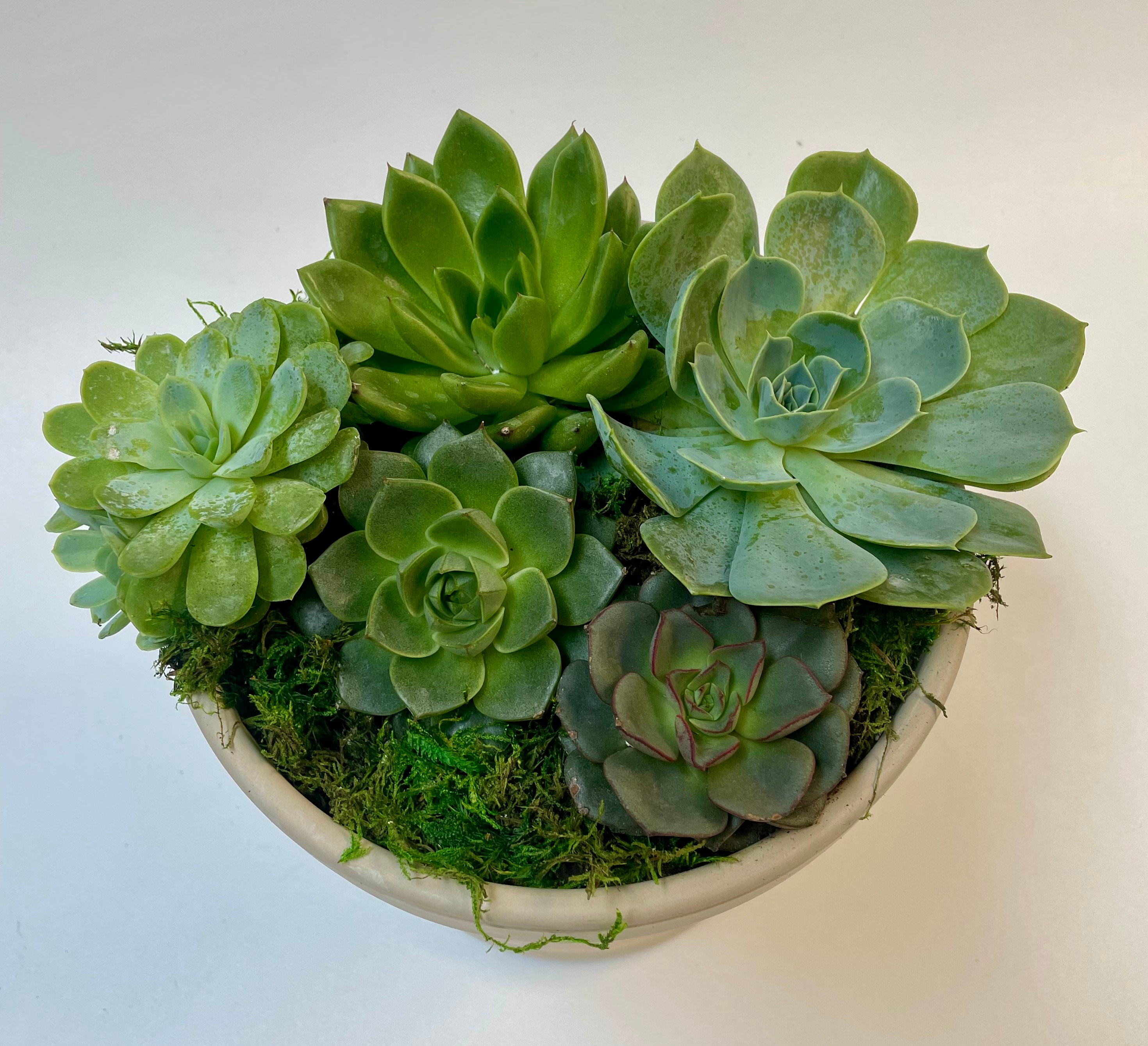 Roses Delivery New Braunfels TX Comal Flower Shop