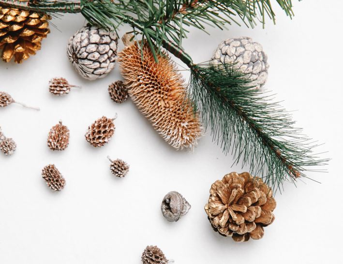 Northfield Florist Flower Delivery by Florist