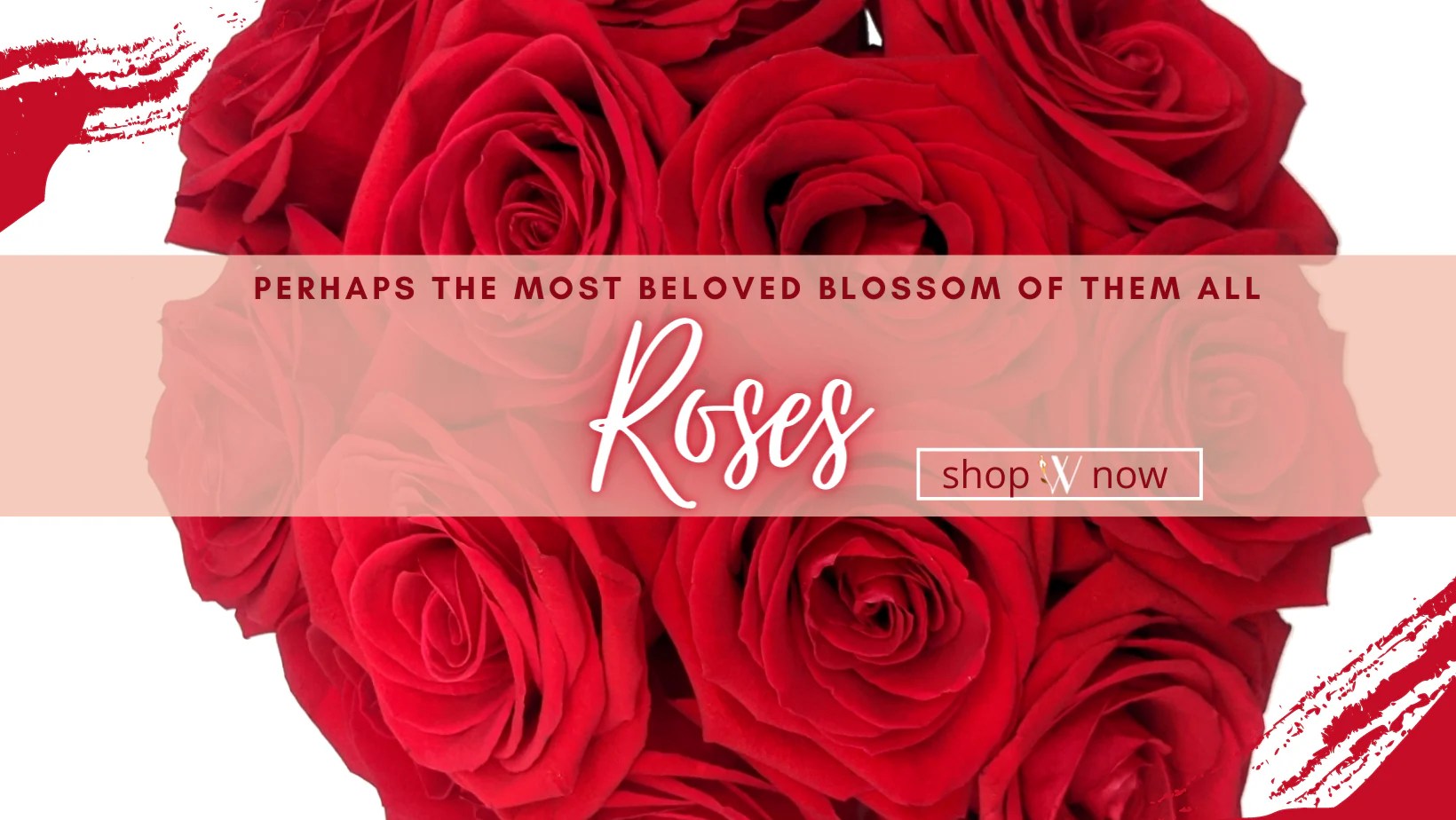 Orlando Florist Flower Delivery by Windermere Flowers & Gifts