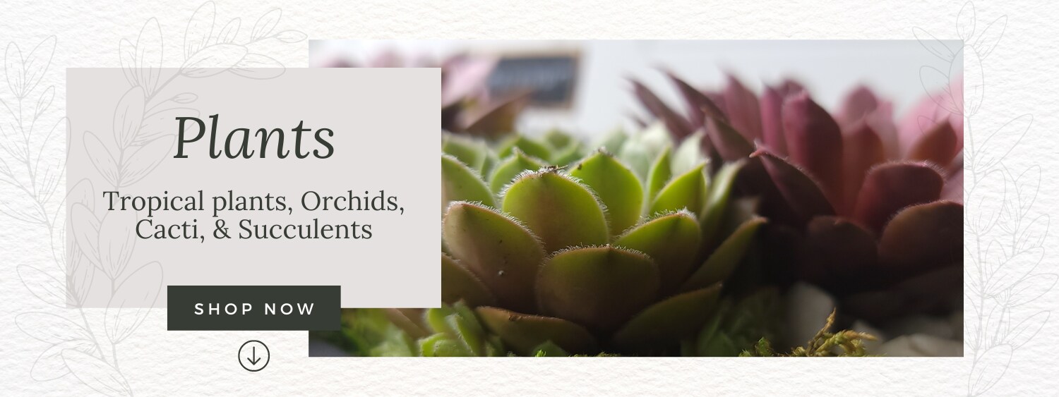 Kingston Florist Flower Delivery by Pam's Flower Garden