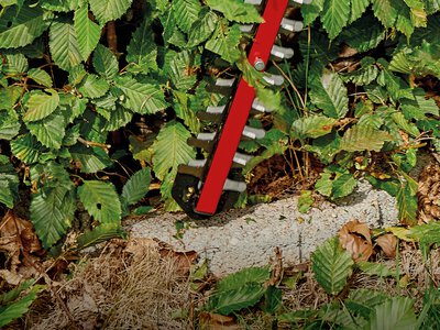 ARCURRA 18/55 | Cordless Hedge Trimmer