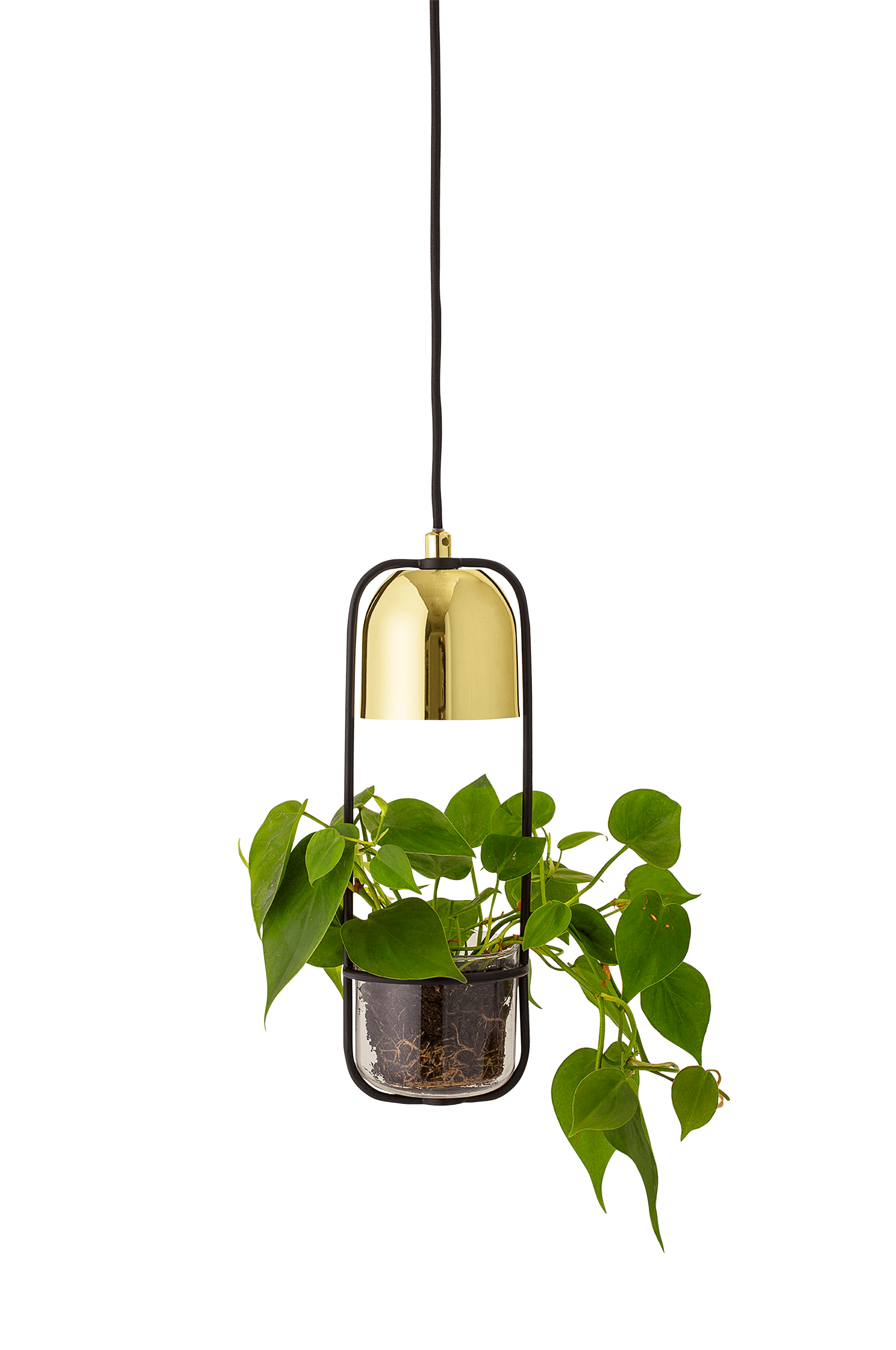 ampellampa Bloomingville Lampa Hänga - Guld - Fönsterlampor | Ellos