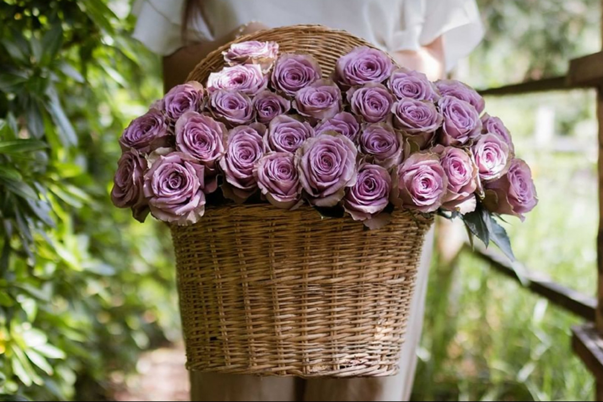 Show Your Customers Their Business Is Appreciated With Two Dozen Roses TrendRadars