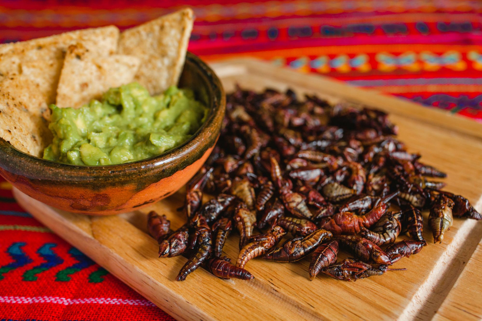 Picale.mx PODEMOS SALVAR AL COMIENDO ESTOS CINCO ALIMENTOS