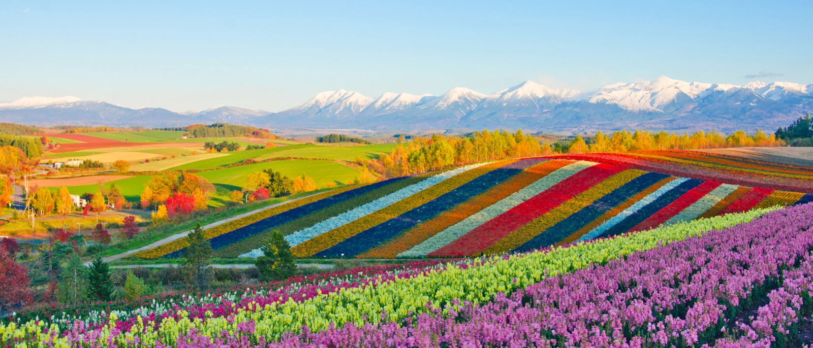 Explore the Japanese wilderness in Hokkaido Evaneos