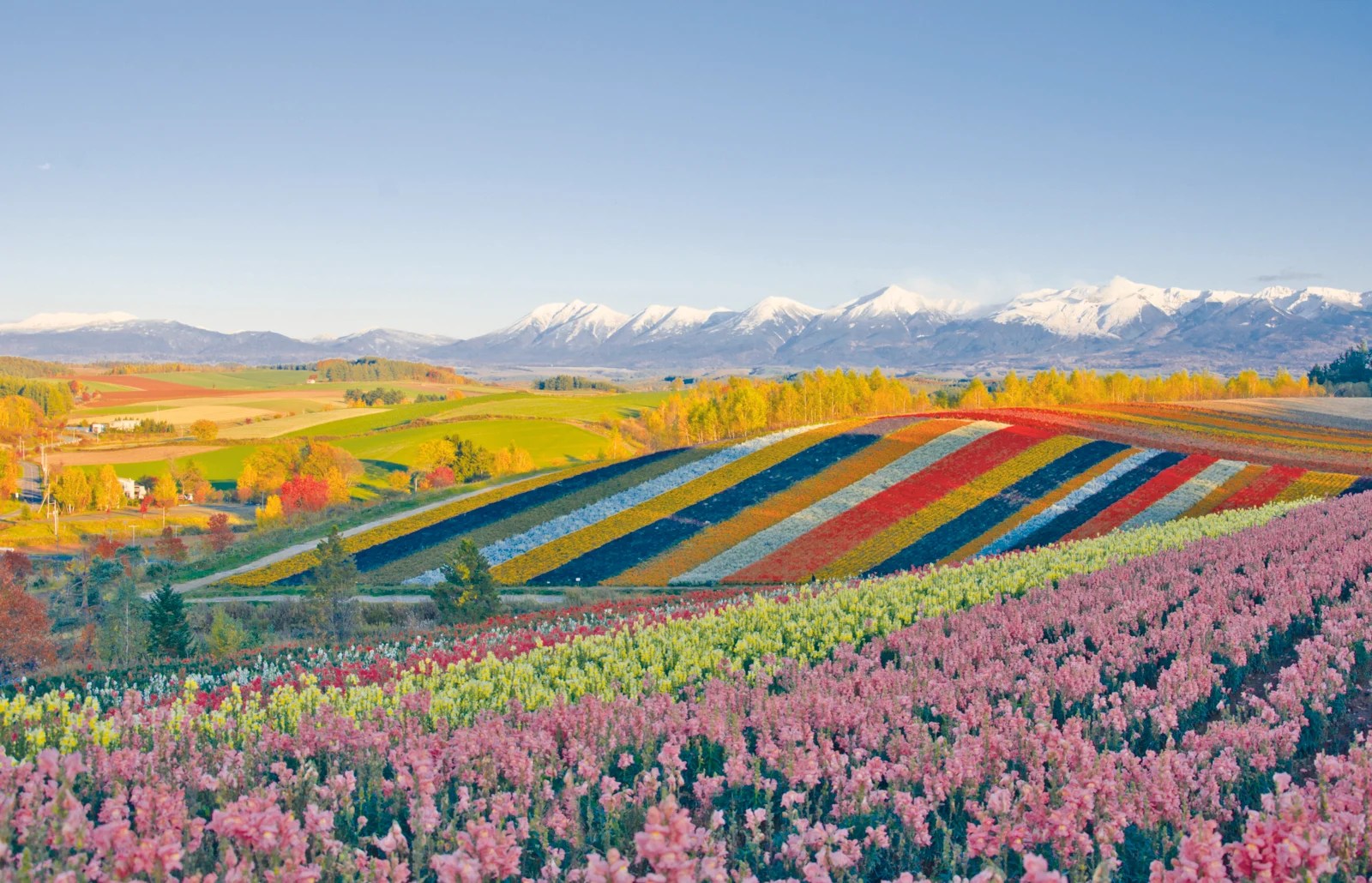 Explore the Japanese wilderness in Hokkaido Evaneos