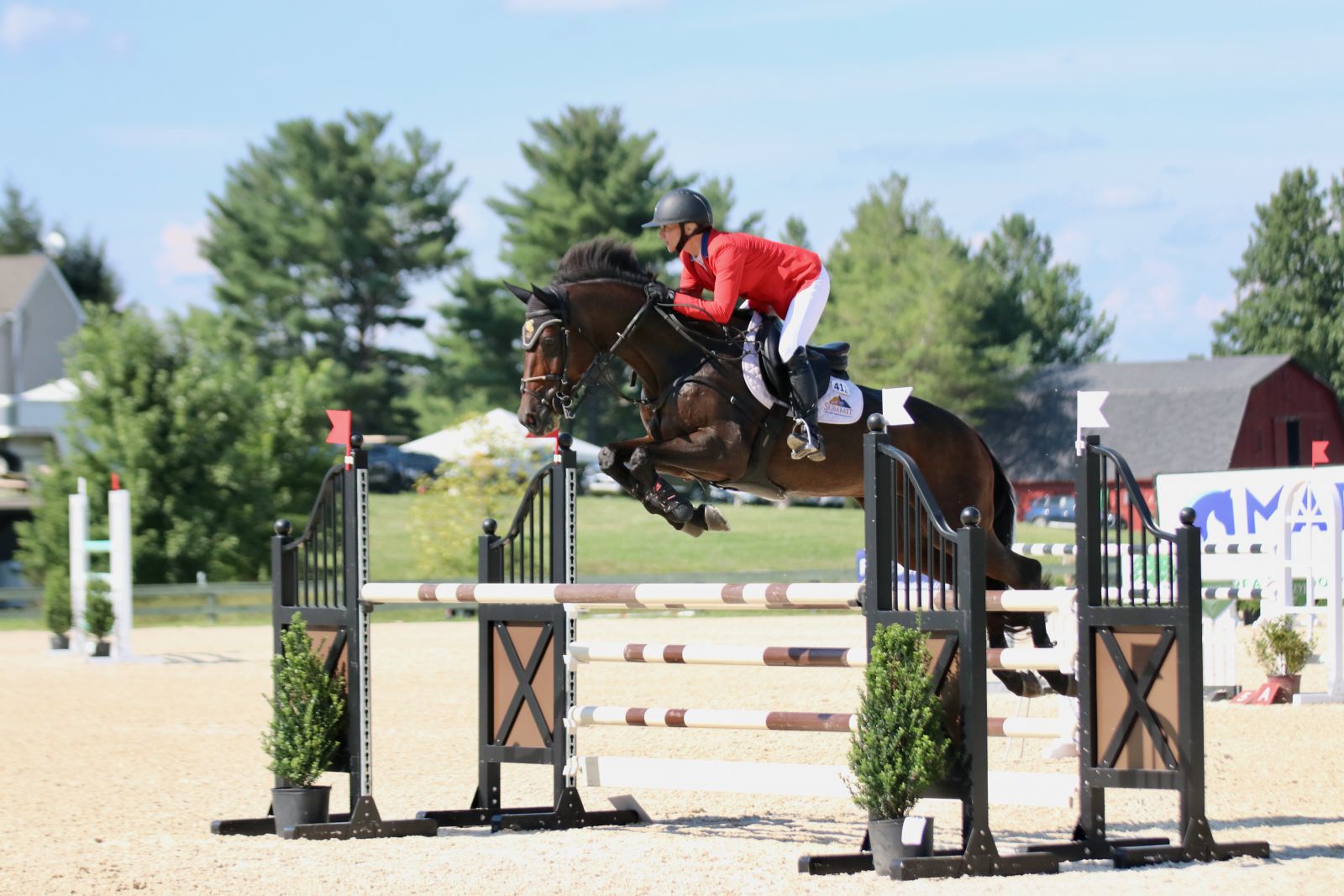 Top of the Board Remains Mostly Unchanged in MARS Equestrian Great