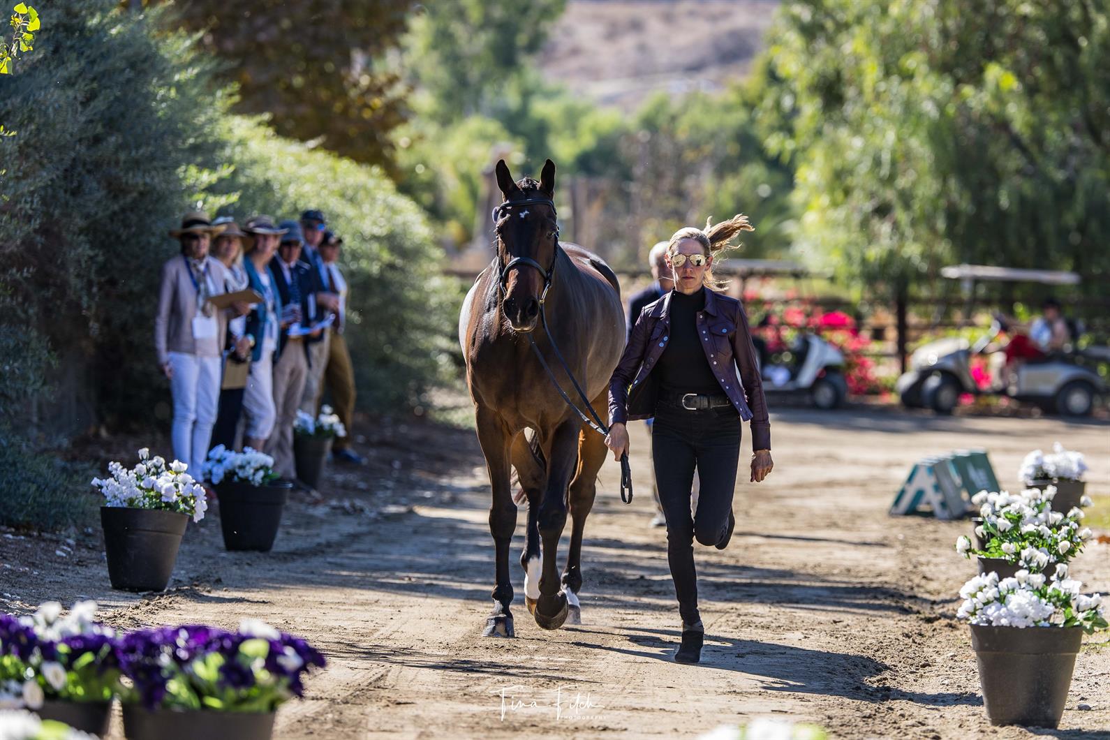 Watch Along with the USEF Eventing Championships at Galway Downs