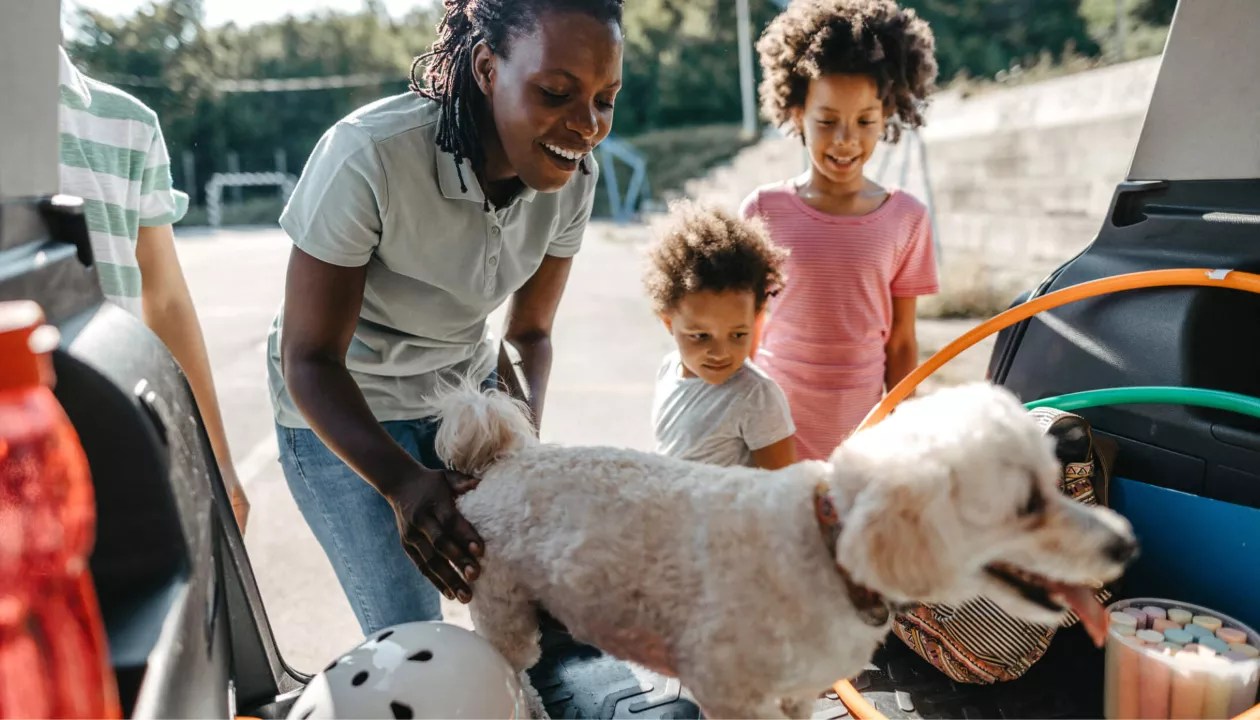 Expedia Group Car Rental Solutions Inventory Distribution, Media