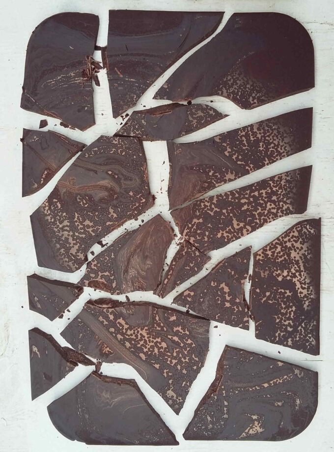 Taster Selection Exploding Tree Chocolate