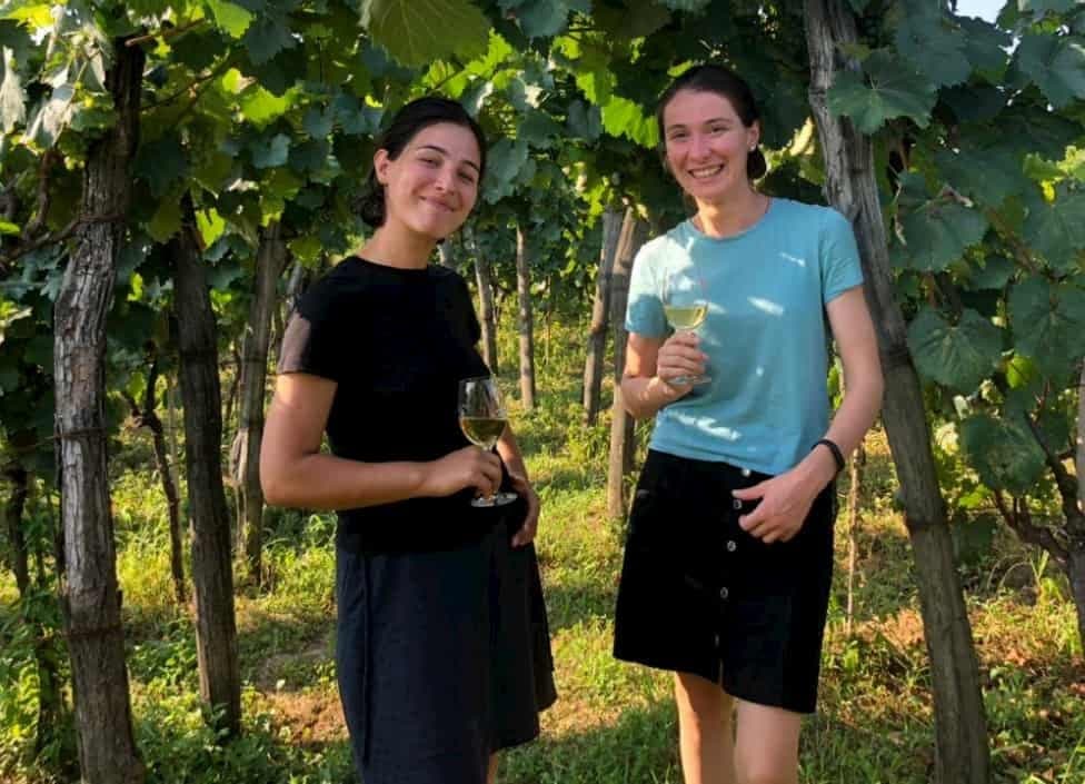 Cardano's first supply chain application goes live, deployed in