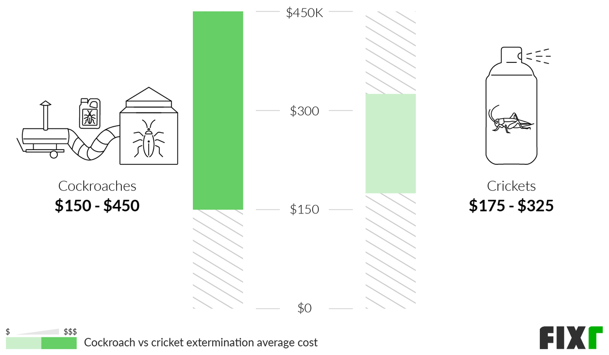 Roach Exterminator Cost Roach Treatment Cost