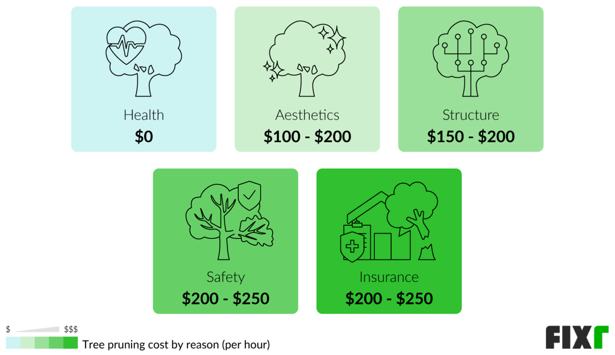 Tree Pruning Cost Average Cost to Prune a Tree