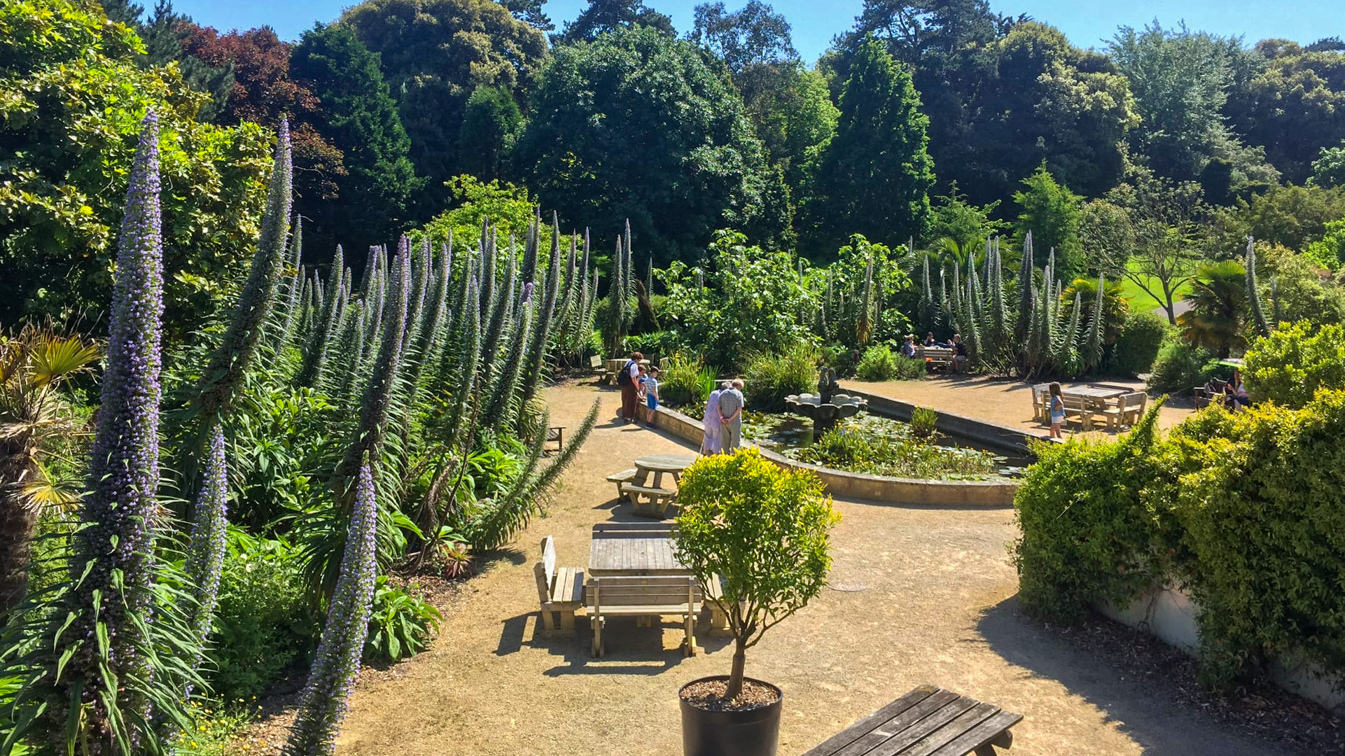 Ventnor Botanic Gardens Ford Farm House Bed & Breakfast Isle of