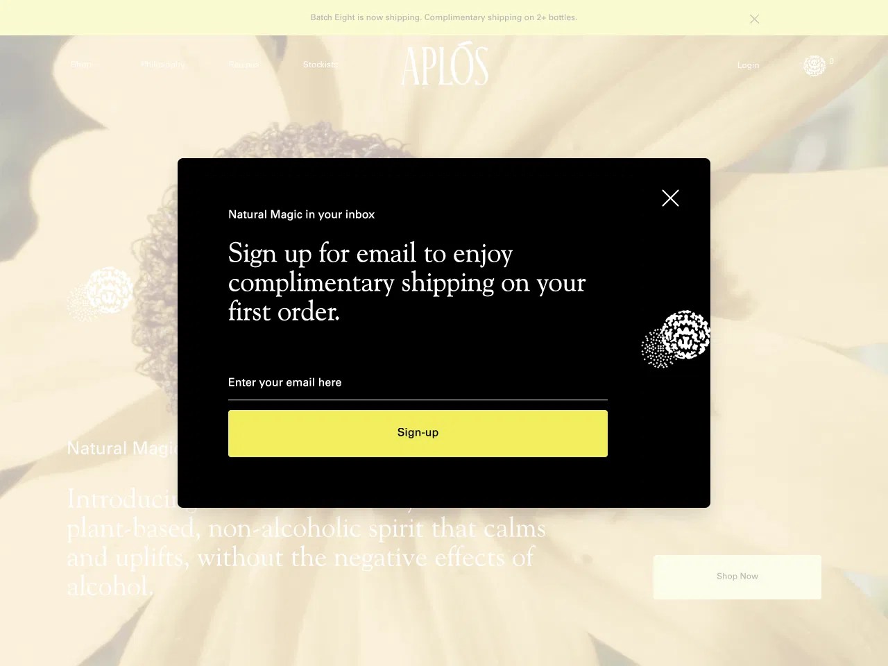 7 Email Newsletter Signup Forms That Convert