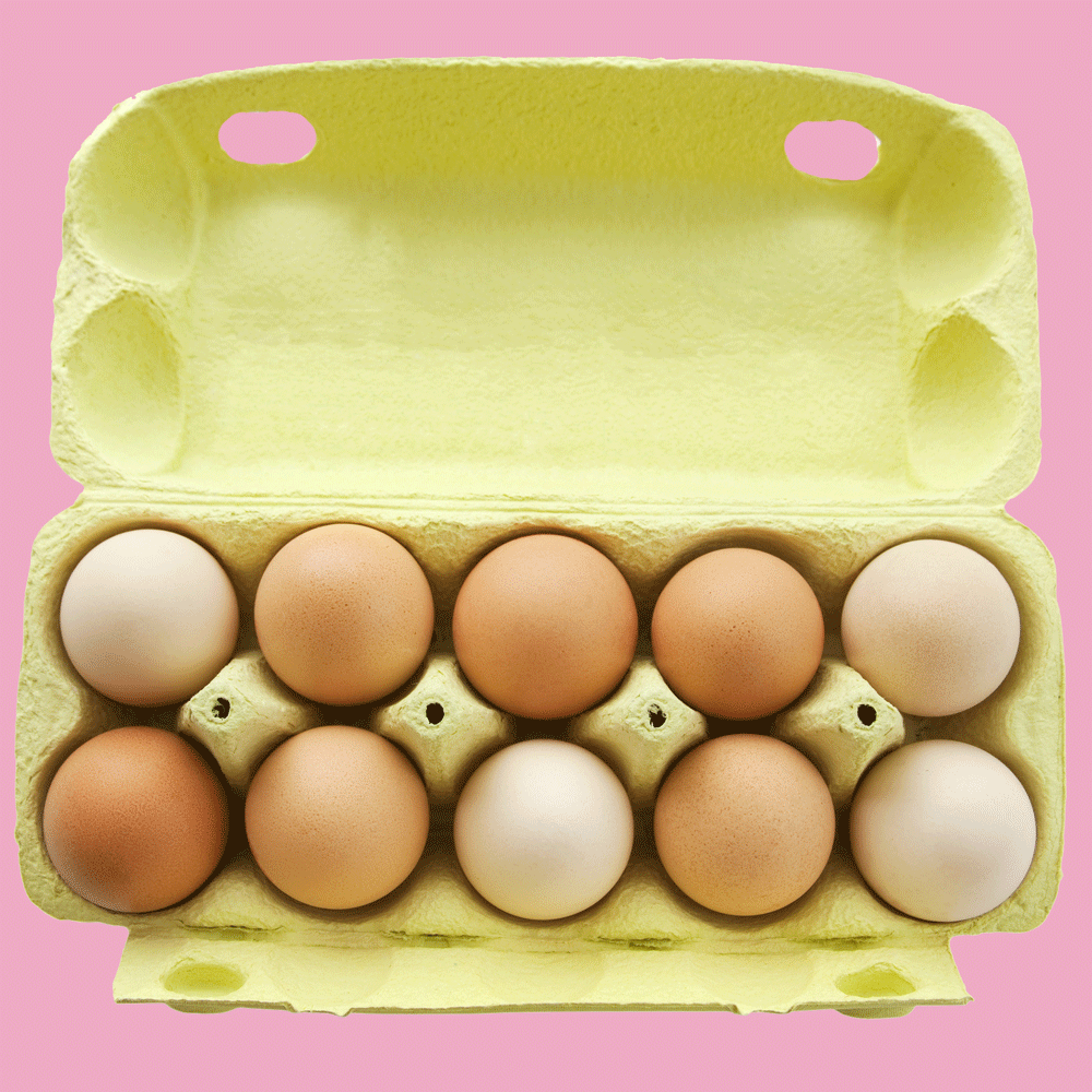 Where to store eggs This is the best place to store your eggs Good