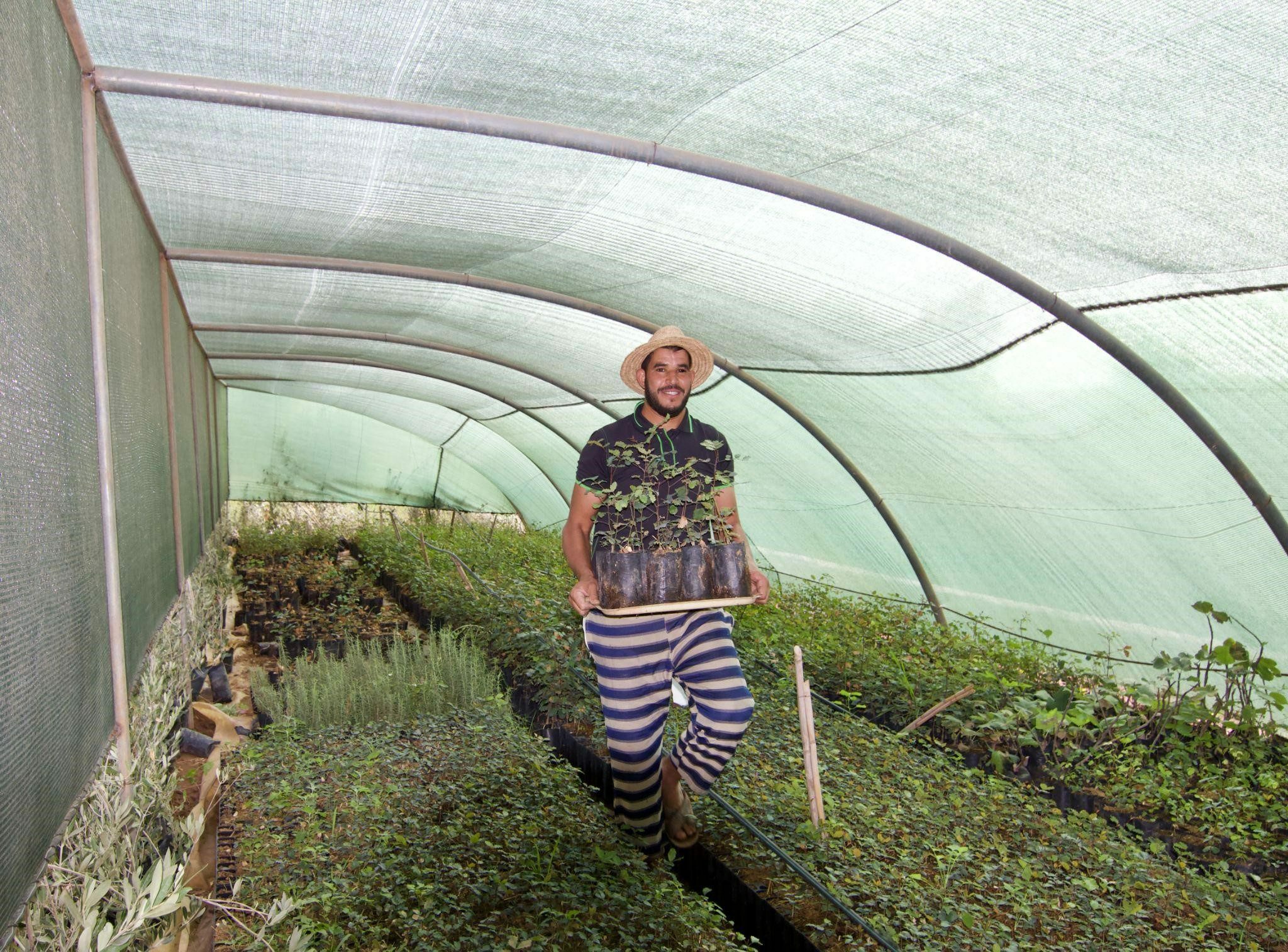 Land & Carbon Lab — High Atlas Foundation