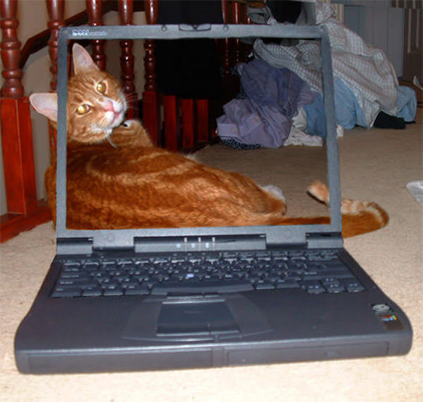 40 Creative "Transparent Screen" Trick Photos Hongkiat