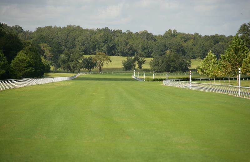 Fantasy Farm Thursday 17.9 Million Padua Stables in Ocala, Florida
