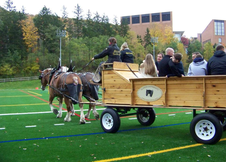 In My Boots In the driver’s seat HORSE NATION