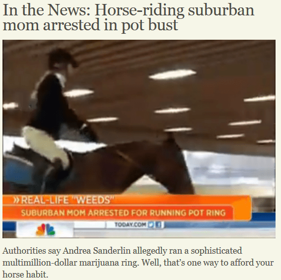 Horses & (Medical) Marijuana HORSE NATION