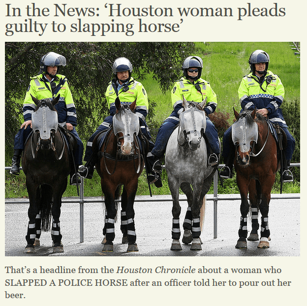 Best of Craigslist ‘7 yr old Gray Mare Horse 1500 (mckinleyville