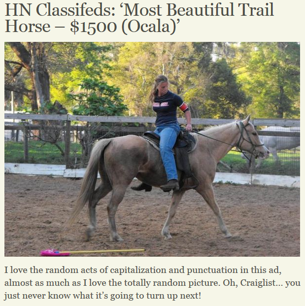 Best of Craigslist buckskin branded ranch horse’ HORSE NATION