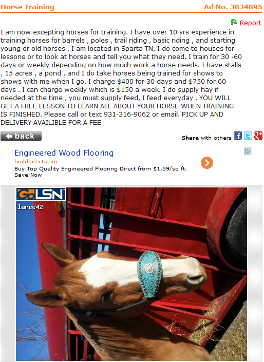 Best of Craigslist ‘horse bridal 20’ HORSE NATION