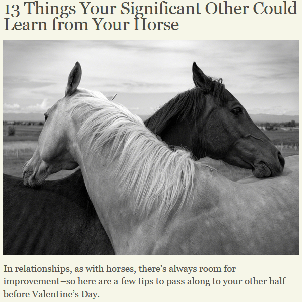 7 Strategies For A Healthy Relationship (With Your Horse) HORSE NATION