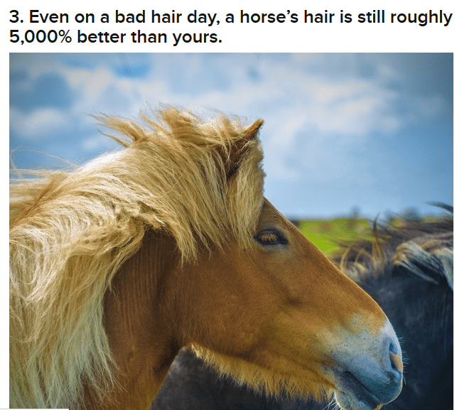 Moment of Truth What Kind of Horse Are You? HORSE NATION