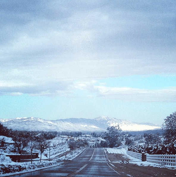 Snow Hawley HORSE NATION