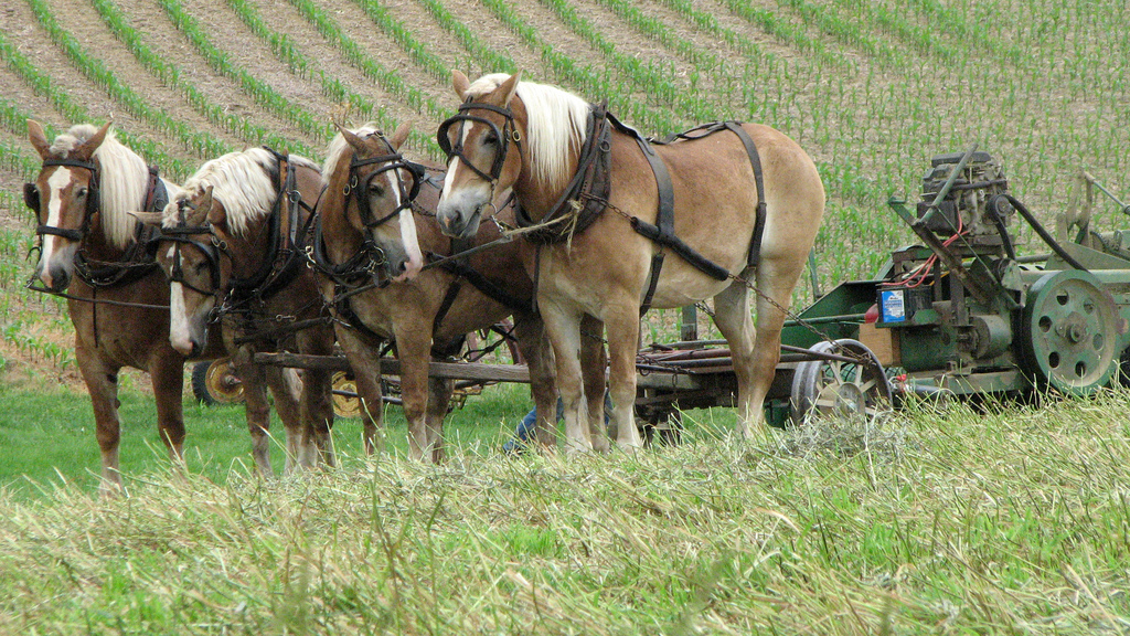 TBT 7 DraftPowered Implements You Never Knew You Needed HORSE NATION