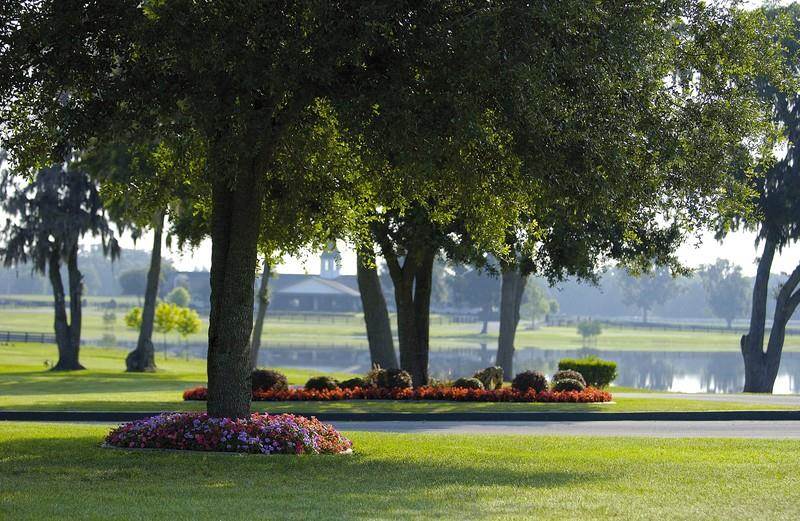 Fantasy Farm Thursday 17.9 Million Padua Stables in Ocala, Florida