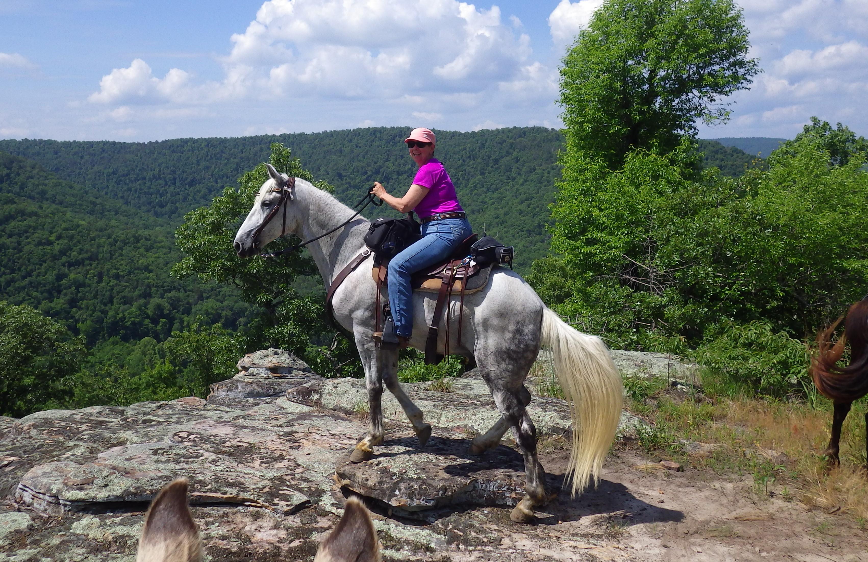 Trail Review Big South Fork River & Recreation Area HORSE NATION