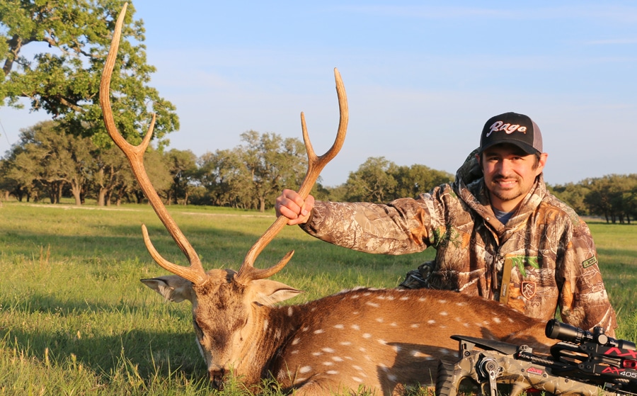 Axis Hunting In Texas