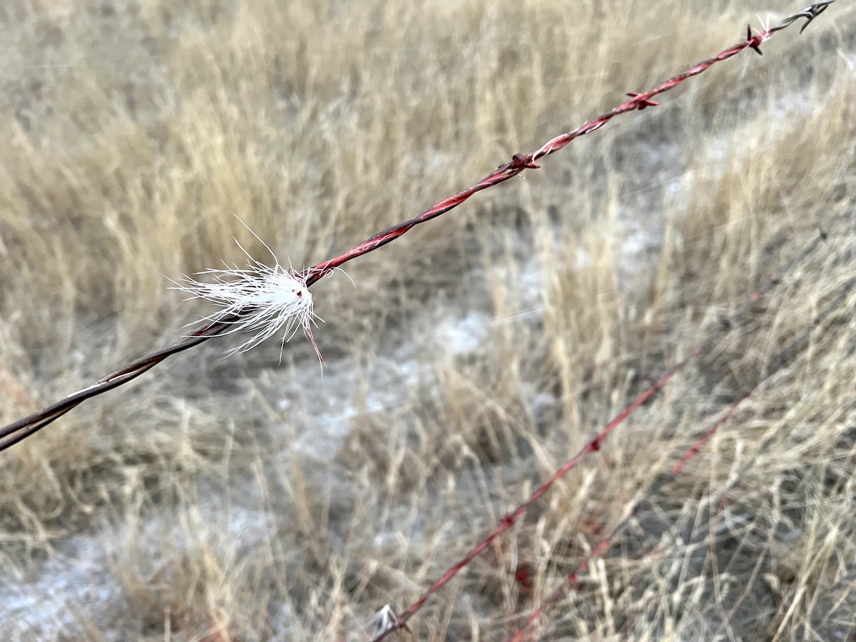 4 Reasons You Need HuntStand Pro’s Property Info Layer HuntStand