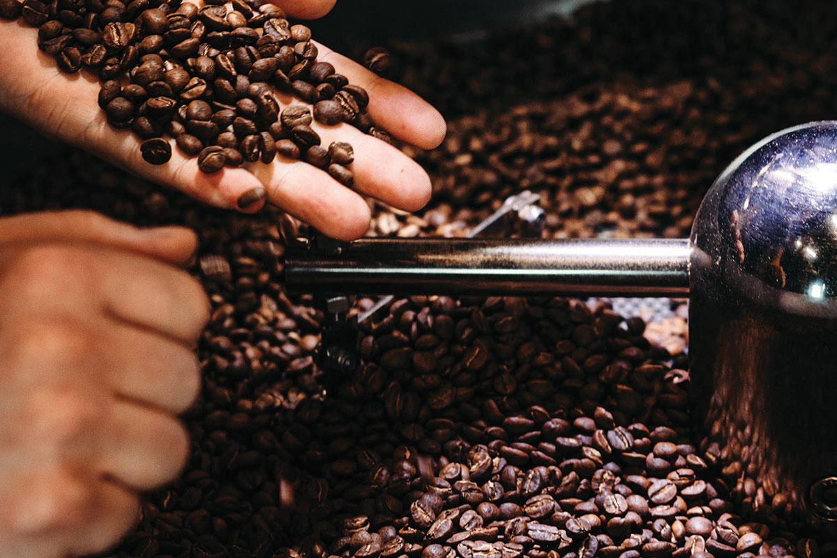 10 Hudson Valley Coffee Roasters for the Freshest Beans