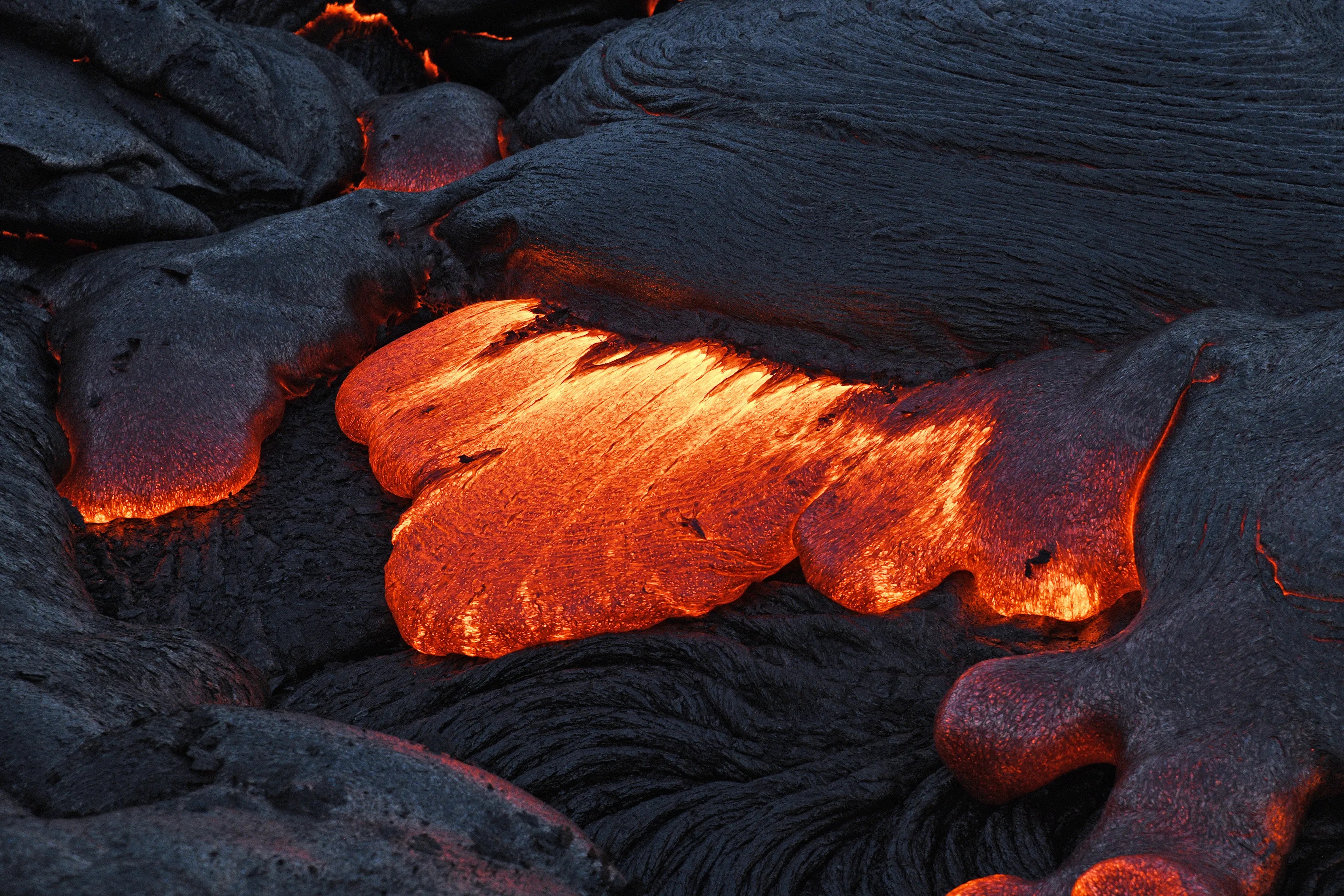 Lava rtZovm78372545464 suginamikids.main.jp