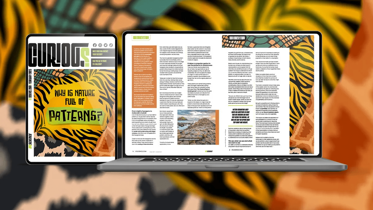 Promo for our magazine