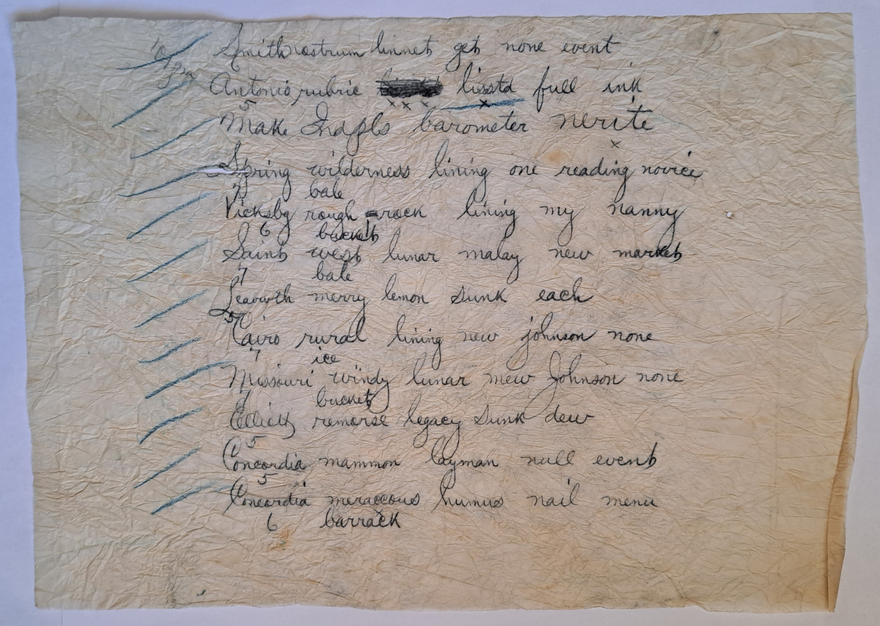 A photo of a yellowing page of crumpled paper showing 12 lines of handwritten text. Some of the lines have smudged words while the second one has a word scratched out. Each line is preceded by a blue tick.