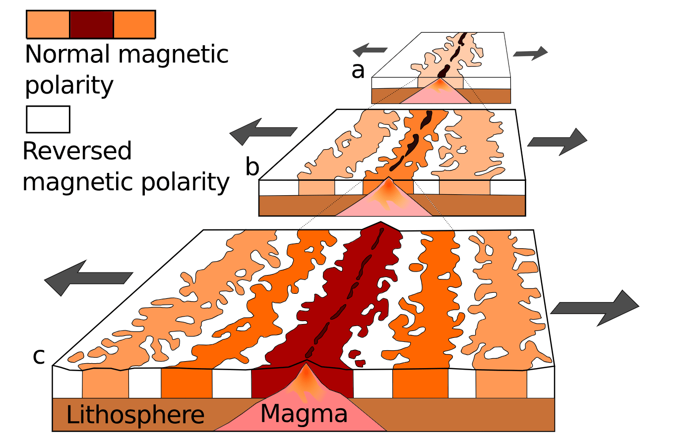 A diagram of the seafloor at a mid-ocean ridge showing the formation of magnetic striping.