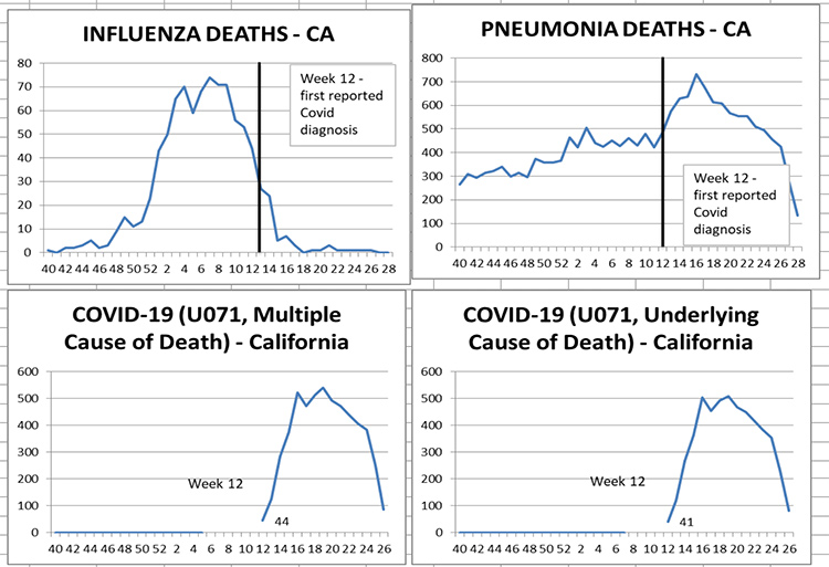 Scamdemic CDC Stats Show Flu Deaths Dropped as COVID Deaths Increased