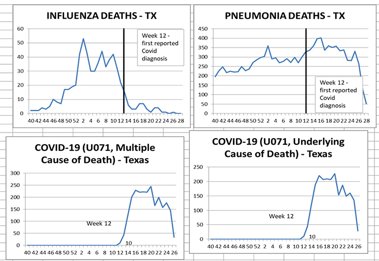 Scamdemic CDC Stats Show Flu Deaths Dropped as COVID Deaths Increased
