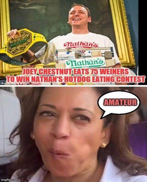 Best Kamala Harris VP Memes NewsWars
