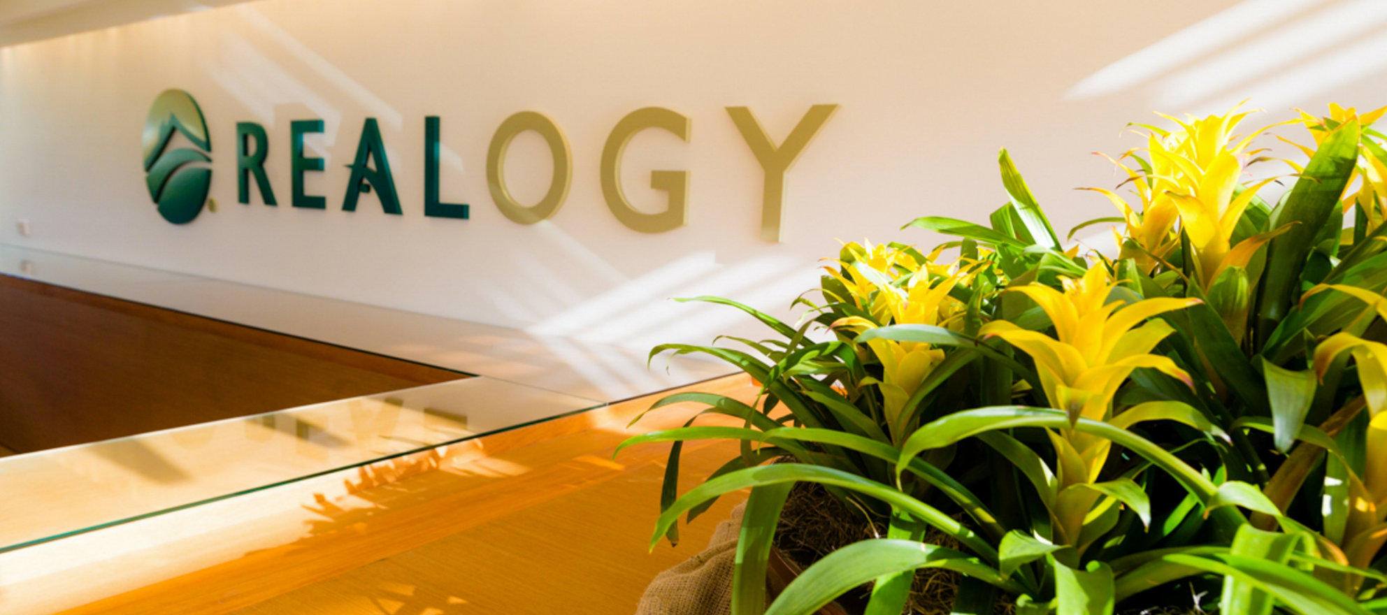 What Will Realogy's New Franchise Brand Look Like? Inman