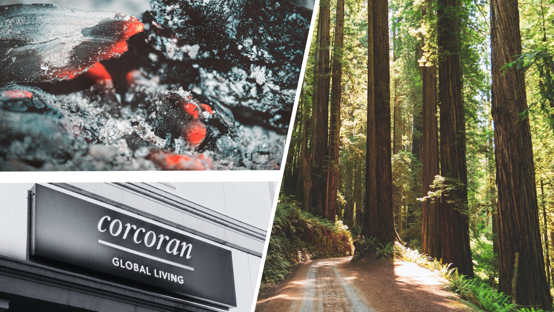 Corcoran Launches Icon Properties In Wake of Global Living Demise Inman
