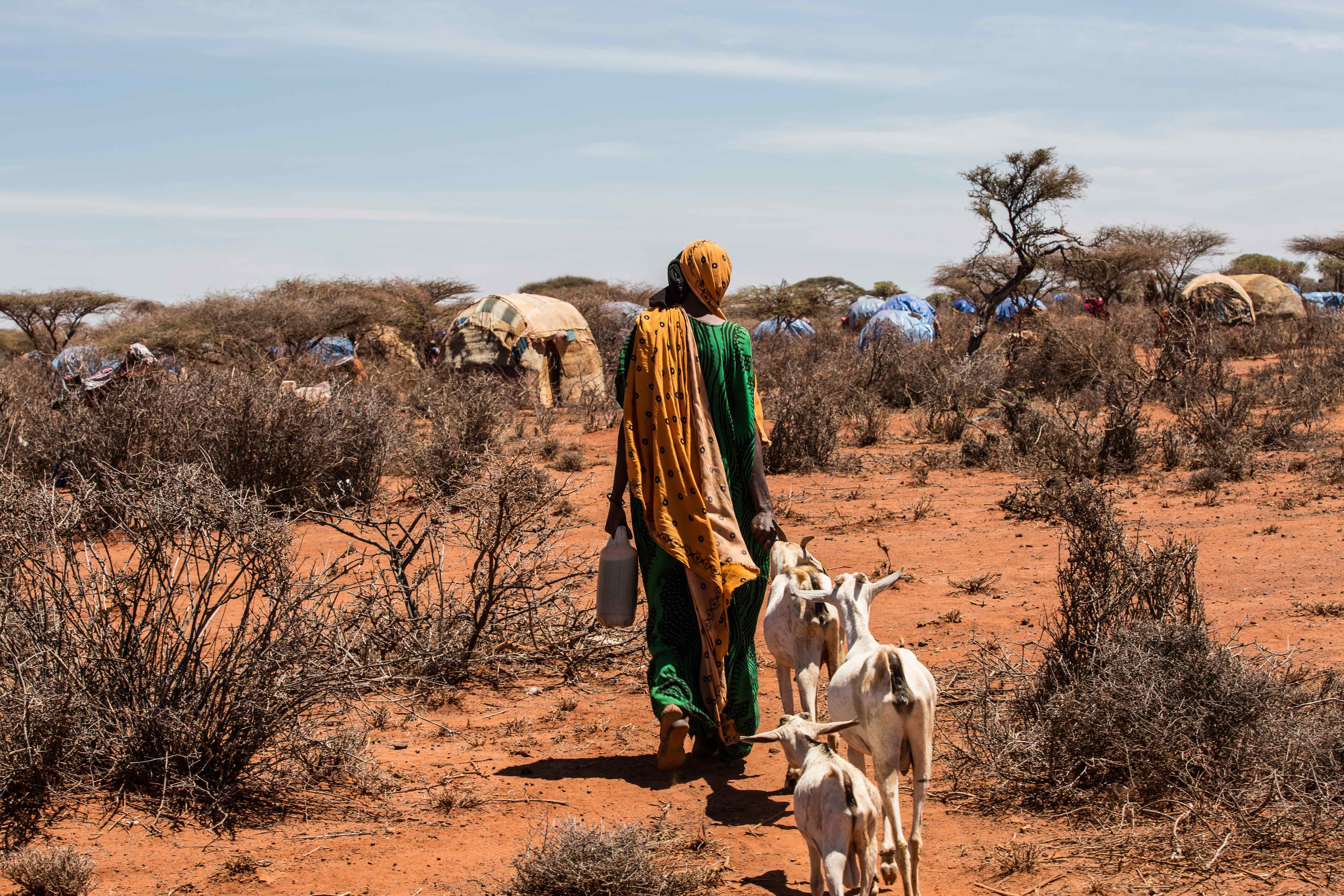 IRIN Drought in Africa 2017